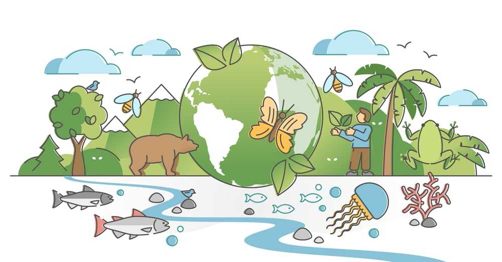 G10 ECOLOGY part