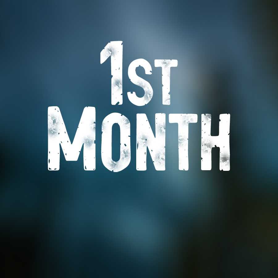 1st Month