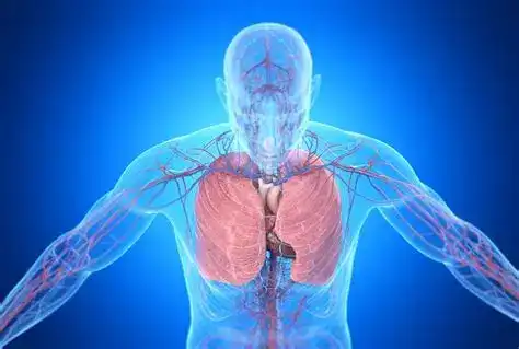Immune system -cardiopulmanory