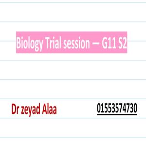 Free trial session for LO8 in semester 2