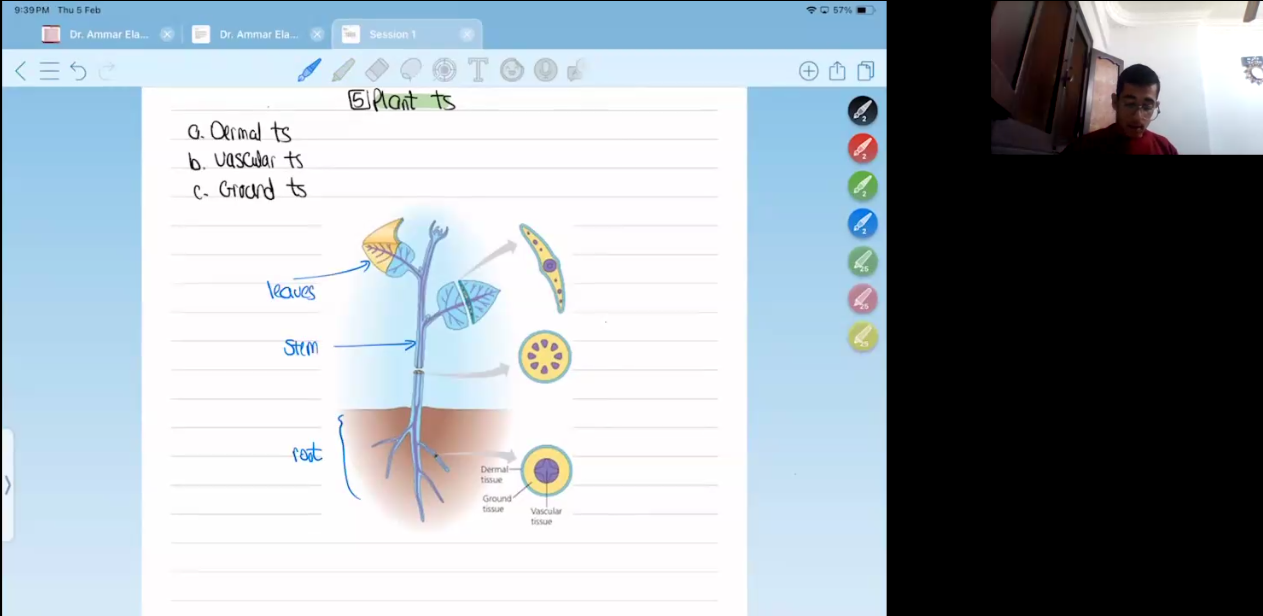 Dr. Ammar Elaref | First Month | Second Semester