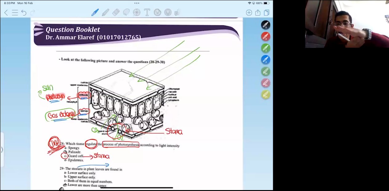 Dr. Ammar Elaref | Second Month | Second Semester