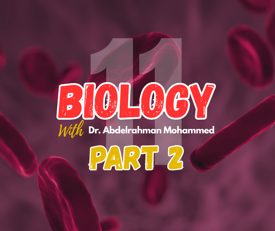 G11 Biology - Part 2