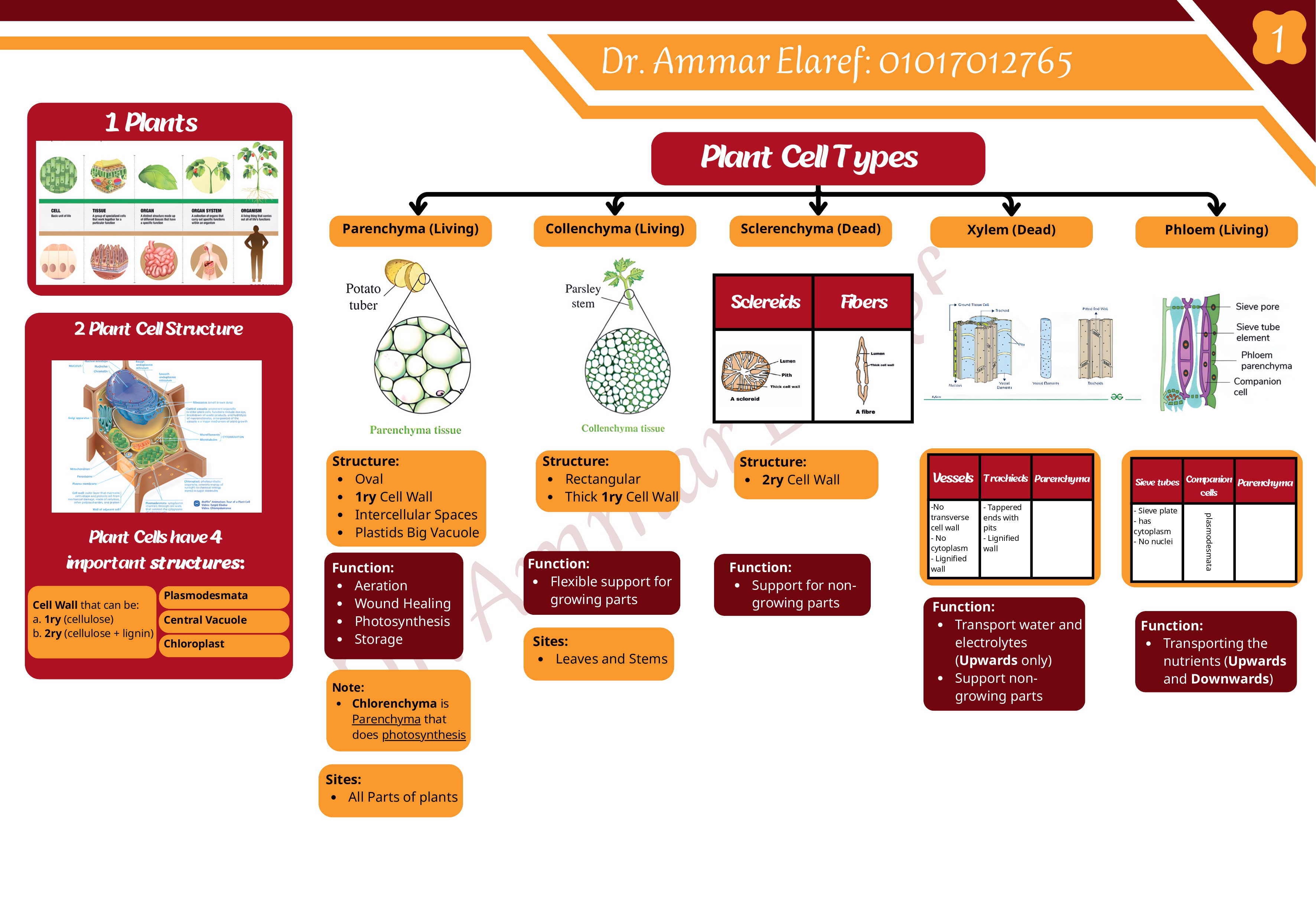 G10 Midterm Revision